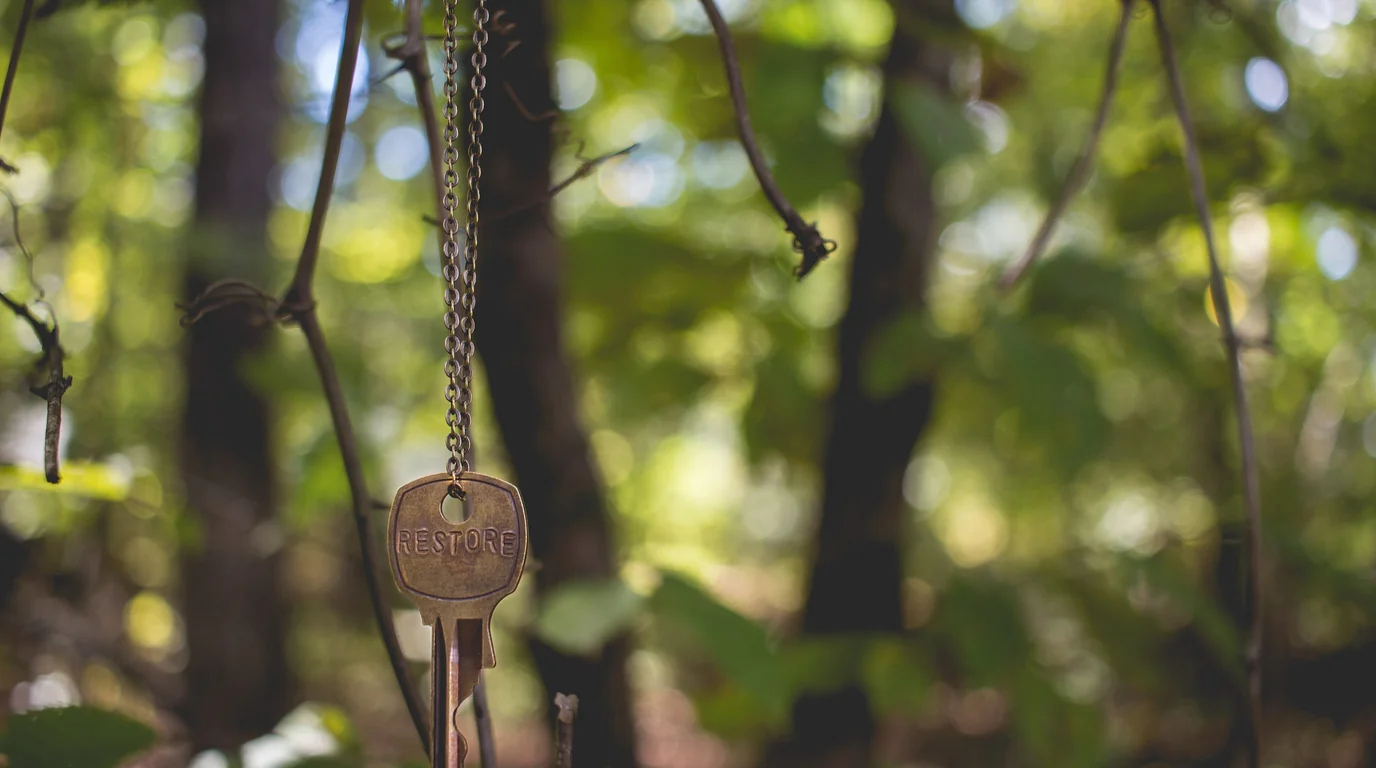 A brass key hanging on a thin chain from a branch, the woodland behind it soft and out of focus.