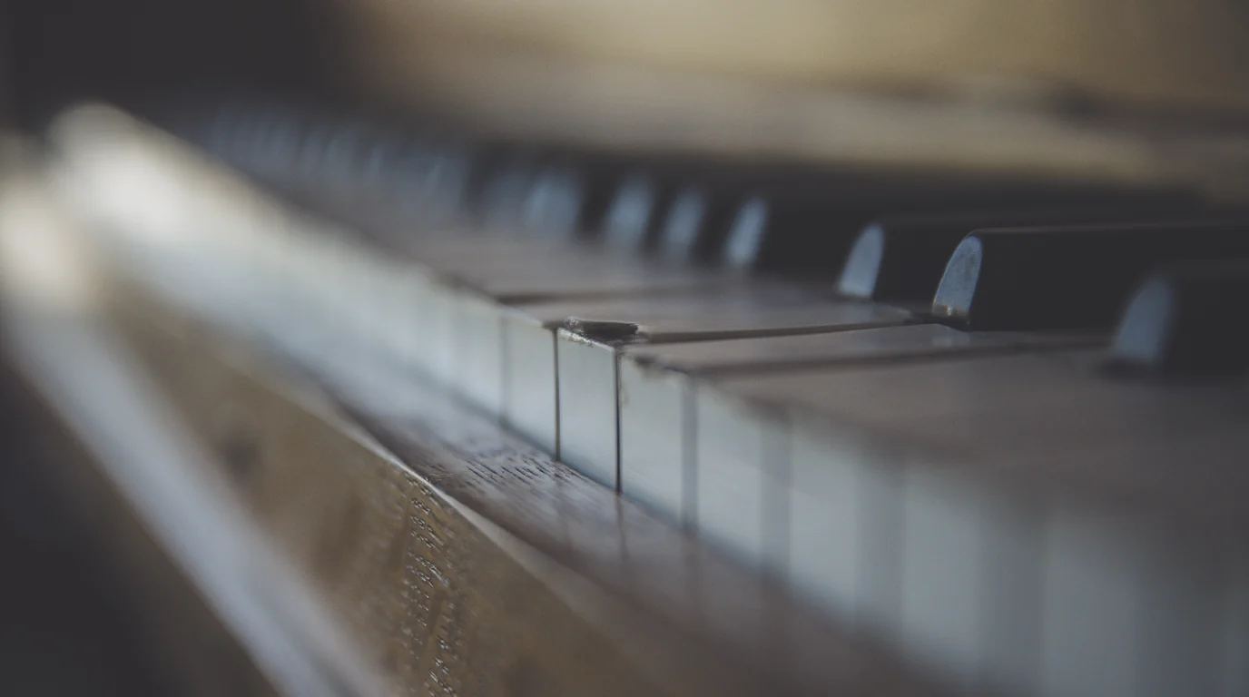 A row of piano keys in soft, shallow focus.