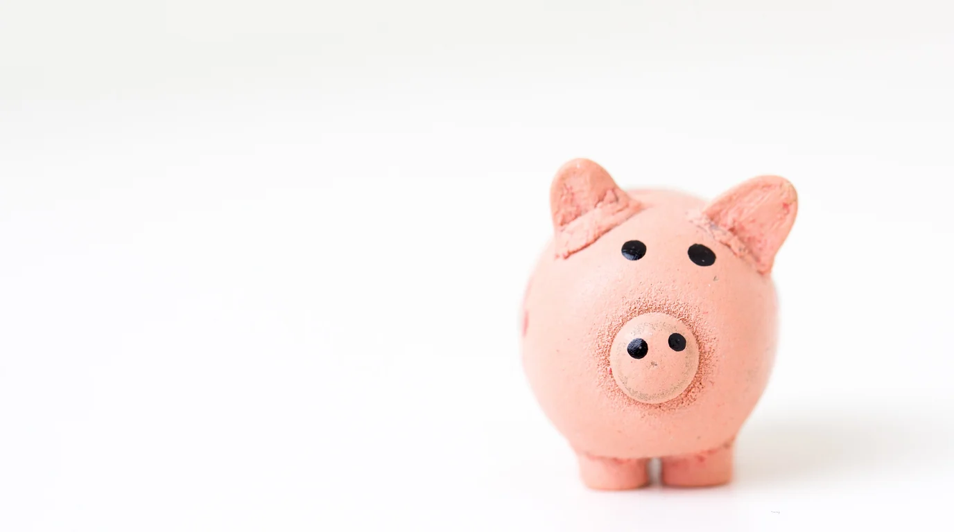 A small pink piggy bank standing on its own against a plain white background.