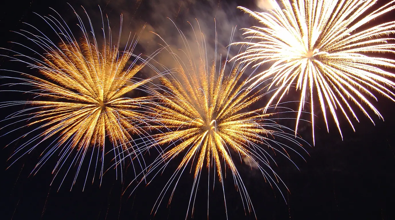 Gold and white New Year fireworks bursting against a black night sky.