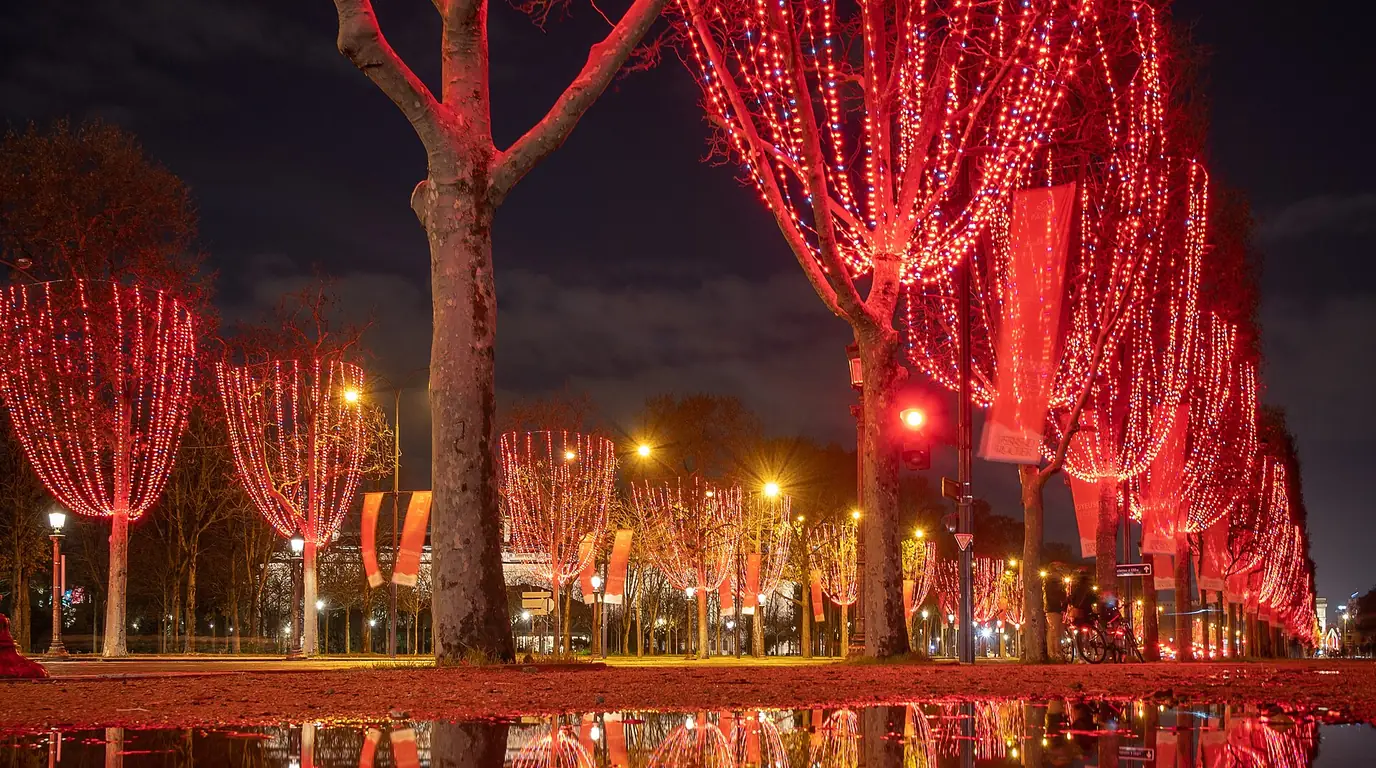 The Champs-Elysées in Paris at night in December, its trees wrapped in red Christmas lights reflected in a wet pavement.