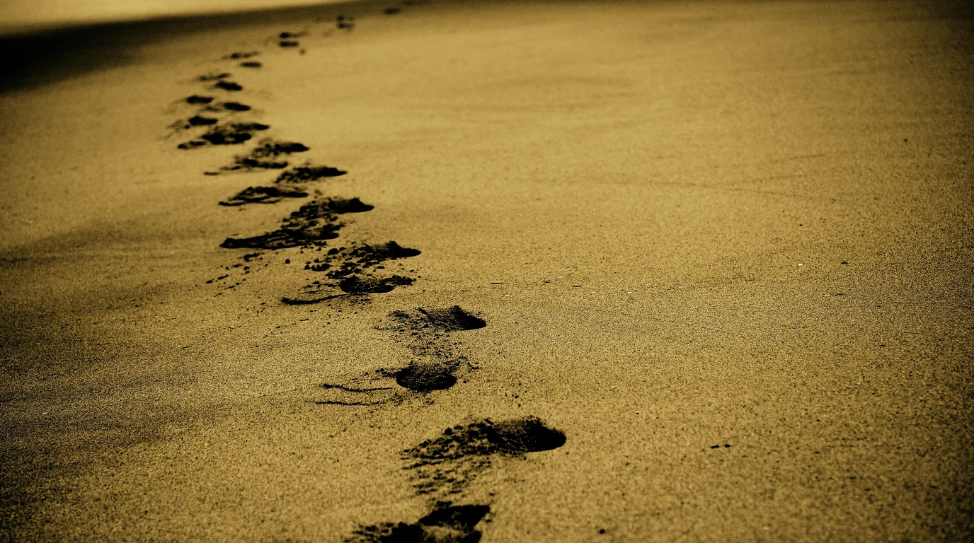 A single line of footprints crossing smooth golden sand.