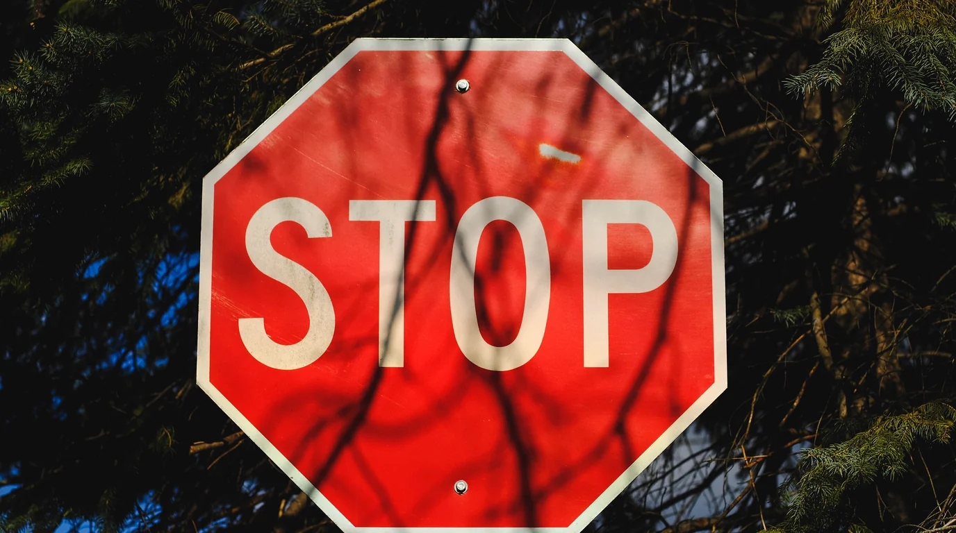 A red stop sign seen through dark pine branches.